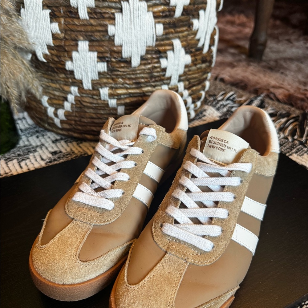 Steve Madden Hudsin Sneakers